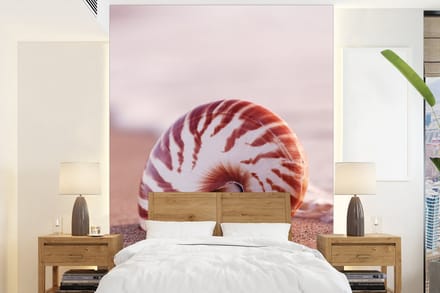 Behang - Fotobehang Schelp - Strand - Zee - Zand - Breedte 165 cm x hoogte 220 cm