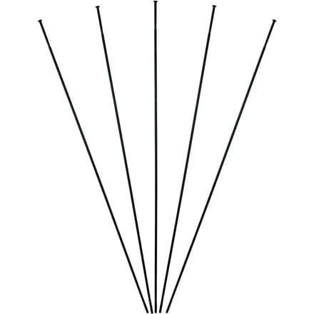 Terugreis roggen Massi (x5)