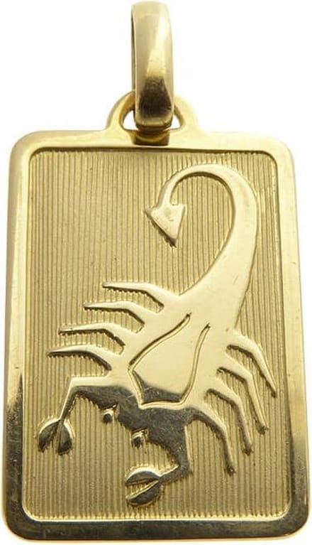 Gouden schorpioen sterrenbeeld hanger