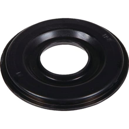 Briggs & stratton ring