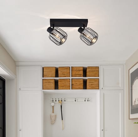 Plafondlamp met rookglas en draaibare spots, 2-lichts - Dua
