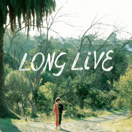 Snowblink - Long Live (LP)