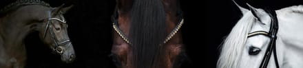 QHP Hoofdstel Era Bruin - Cob