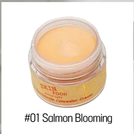 SKINFOOD Zalm Dark Circle Concealer Crème 10g(0,35 oz) 01 beige