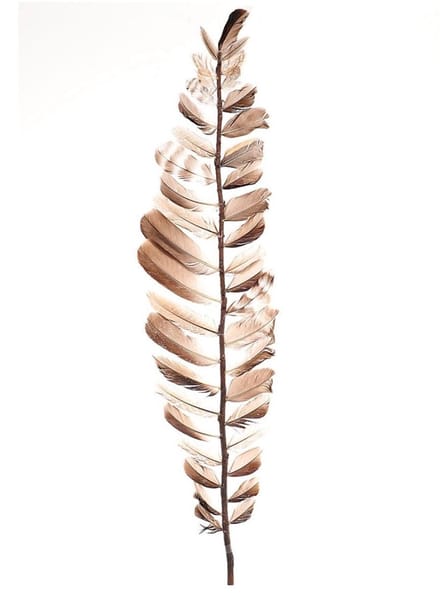 HBX natural living decoratieve veren 60cm kleurrijk speelgoed.