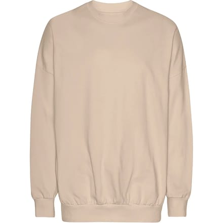 Oversized sweatshirt Tiger