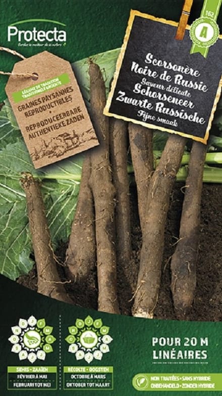 Protecta Groente zaden: Schorseneer Zwarte Russische