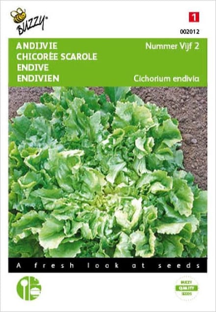 Buzzy Zaden - Andijvie Nummer Vijf - Cichorium endivia