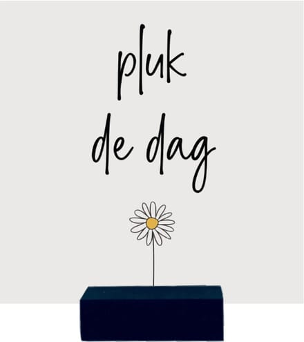 PLUK DE DAG | tegeltje van forex | 13 x 13 cm | met zwarte houder