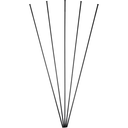 Straal db+protour Massi (x5)