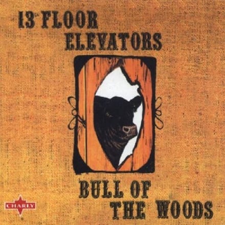 13th Floor Elevators - Bull Of The Woods (LP) (Half Speed)