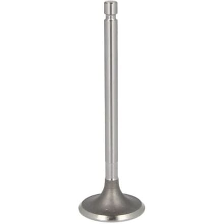 Inlaatklep PARADOWSCY PURS012