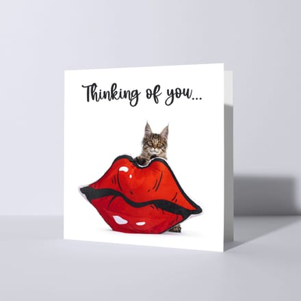 CAT'CHY Cards - wenskaart - denken aan - kat