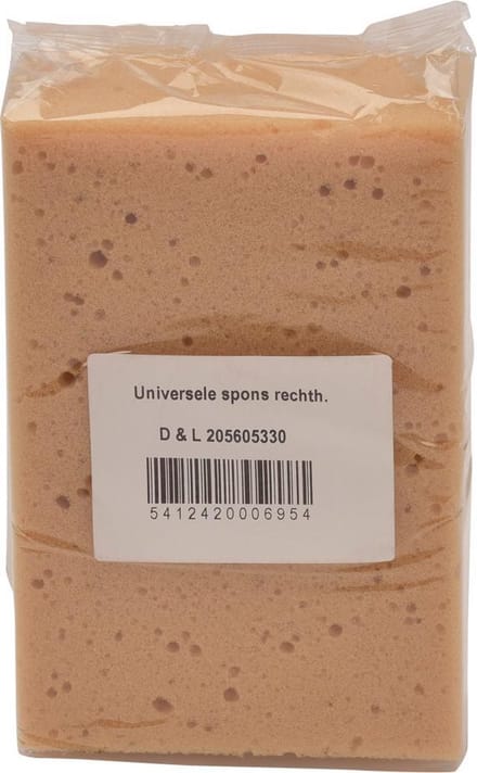 Universele Spons voor Huishoud & Auto