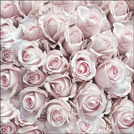 Lunch Servetten - Pastel Roses