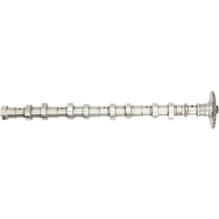 Nokkenas  AE CAM966