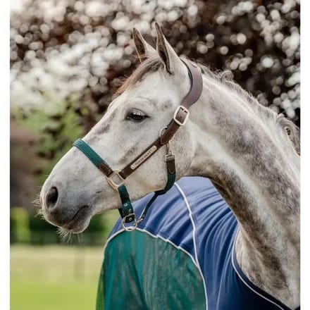 Leren halster voor paard Horseware Signature