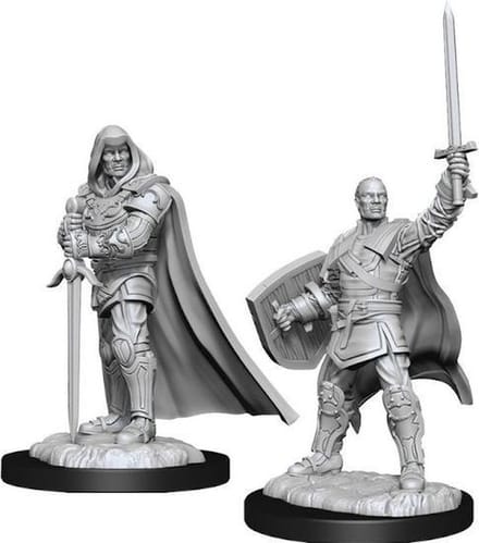Dungeons and Dragons Miniatures - Nolzur's Marvelous - Human Male Paladin - Miniatuur - Ongeverfd
