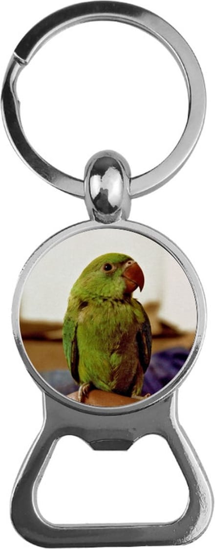 Bieropener Glas - Vogel