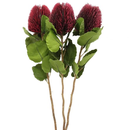 Kunstbloemen, Banksia, Proteaceae wijnrood L58cm H6cm 3st
