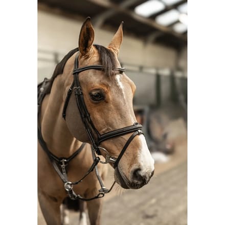 Gecombineerd hoofdstel met neusriem HFI Pro Line Milano