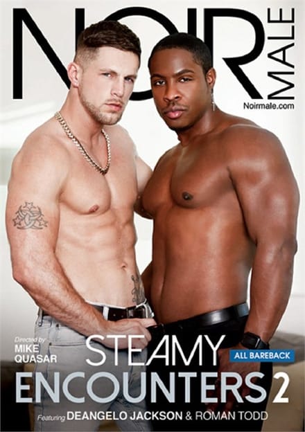 Noir Male - Steamy Encounters 2