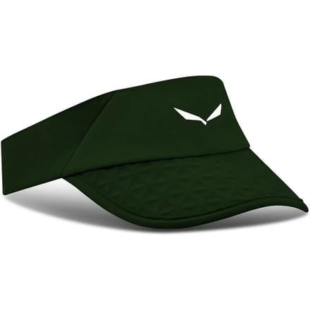 Baseball cap Salewa Pedroc Dst Light Visor