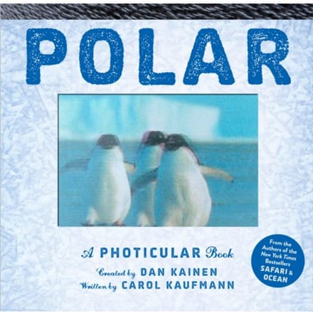 Polar - Workman Adult - Carol Kaufmann