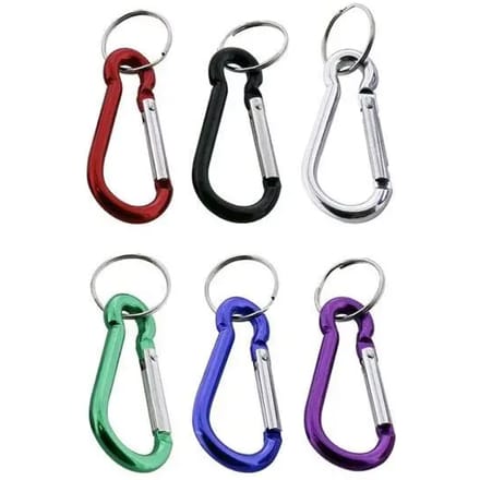 Set van 12 sleutelhangers H. Beligné & Fils Mousquetons