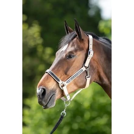 Halster voor paarden HFI First