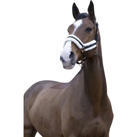 Halster voor paarden Norton Confort