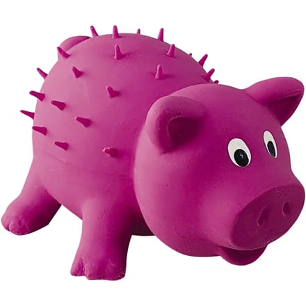 Latex varkensspeeltje voor honden Nobby Pet