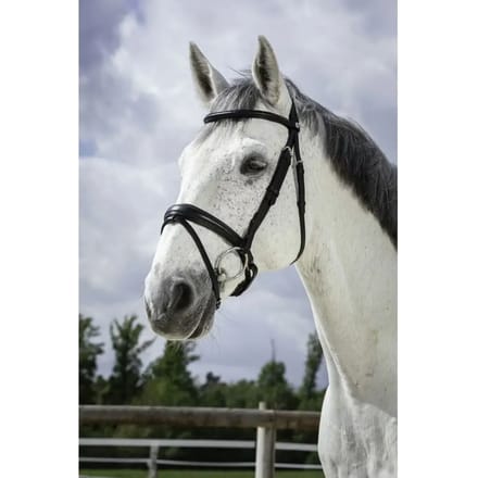 Hoofdstellen Norton Pro Soft