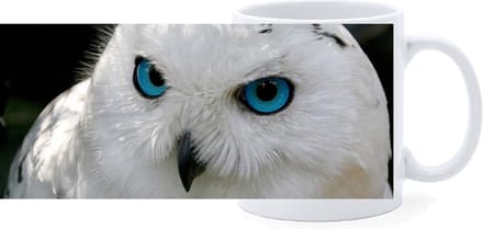 Beker - Close up - Sneeuwuil