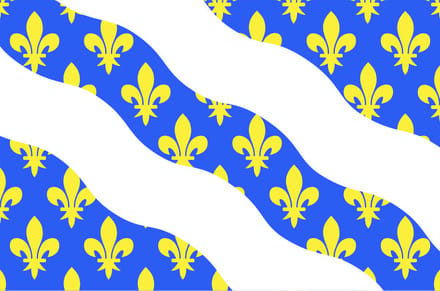 Vlag Yvelines 200x300cm