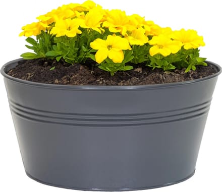 Mega Collections plantenpot/bloempot Bob - zink - antraciet - D25 X H12 cm