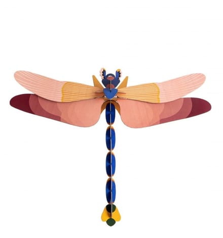 Limited Edition - Giant Dragonfly