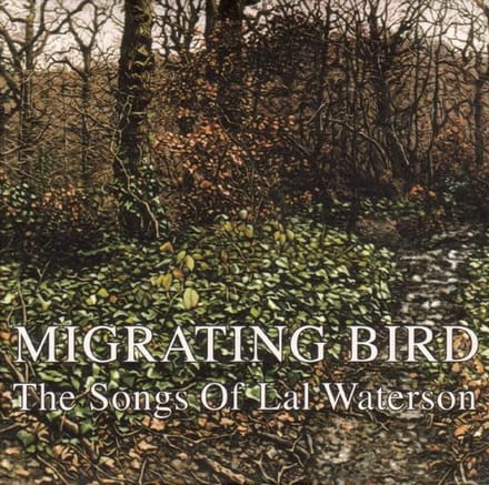 Migrating Bird