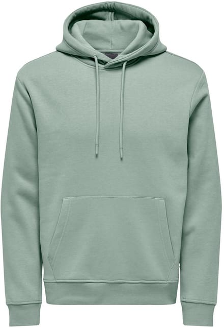 ONLY&SONS - ONSCONNOR LIFE REG SWEAT HOODIE NOOS - Heren - Sweaters