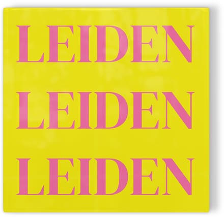 Tegeltje Leiden - geel roze - tegeltje stad - tegeltje met tekst