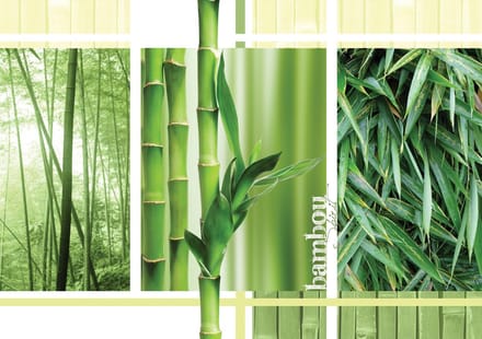 Poster | Groen | 104 x 70,5 cm