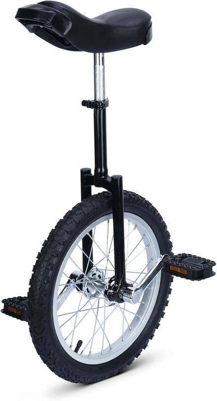 Eenwieler - Loopfiets Balansfiets - Balans Training - In hoogte verstelbaar - 16 inch - Zwart