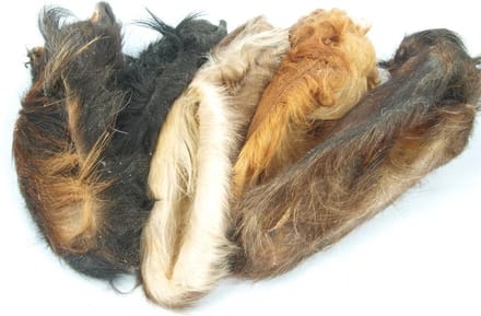 Lifetime Petfood Runderoren met haar - 10 stuks