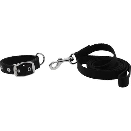 Halsband en lijn voor hond Riding World Oscar