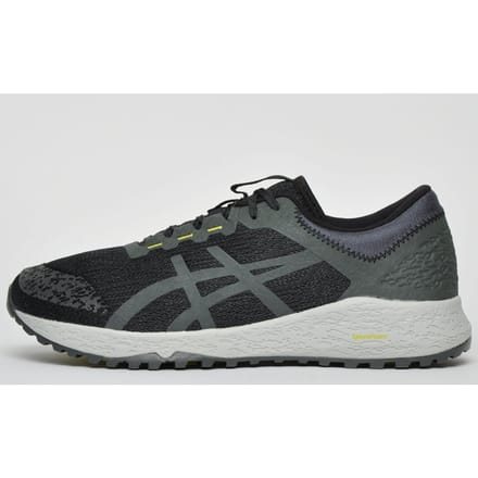 Asics Alpine XT All Terrain Heren