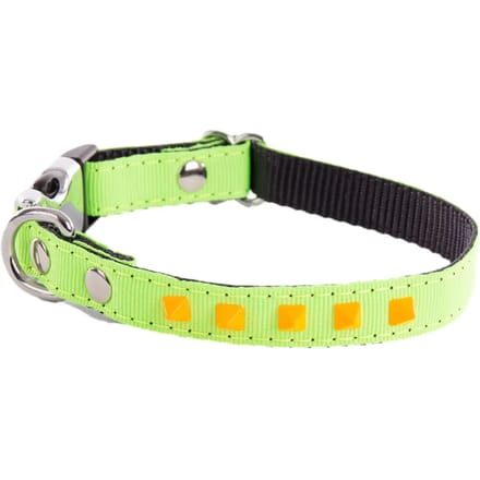 Hondenhalsband Martin Sellier Fluo