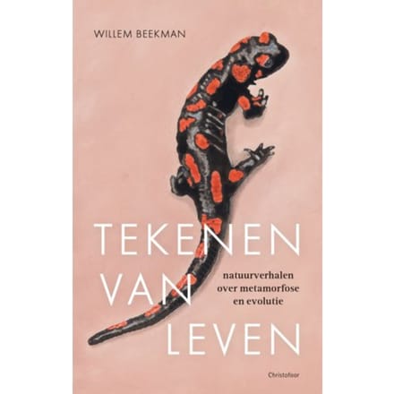 Tekenen Van Leven - Willem Beekman