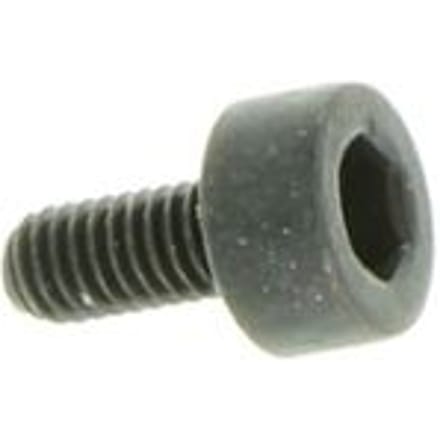 Screw
