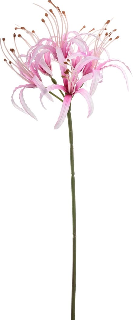 Emerald - Kunstbloem Nerine 63cm lichtroze - Kunstplant voor binnen