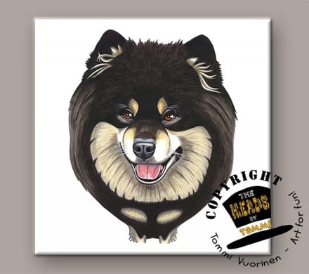 Tegel Hond Finse Laphond